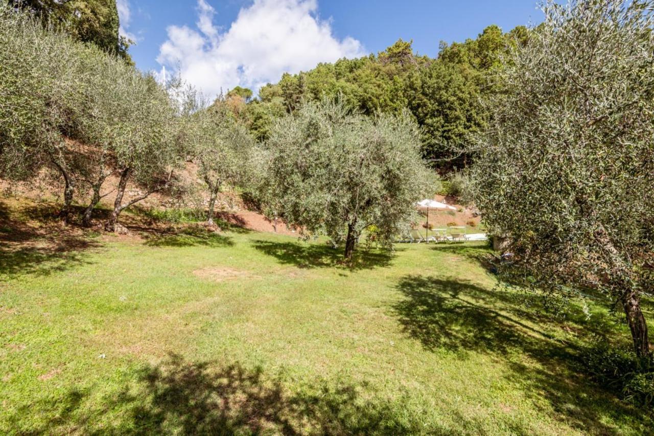 Santa Maria Albiano Al Giardino Degli Ulivi旅馆 外观 照片